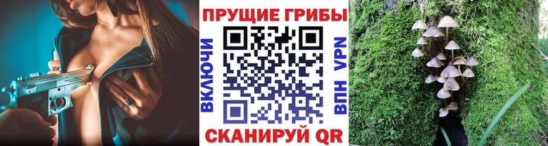 Псилоцибиновые грибы MAGIC MUSHROOMS  Минеральные Воды 