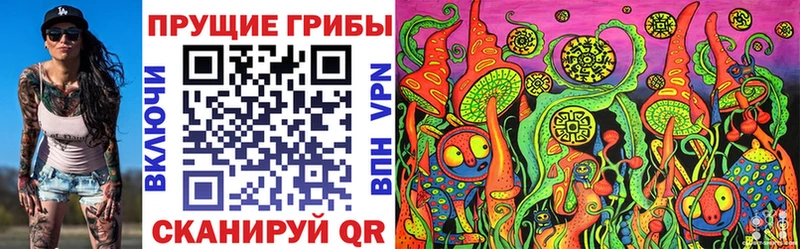Галлюциногенные грибы Cubensis Минеральные Воды